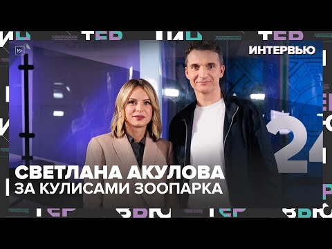 Видео: «Катюша, манул и пума Геркулас: за кулисами Московского зоопарка» | Интервью со Светланой Акуловой