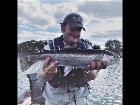 Видео: Ловля поппера в Графхэме