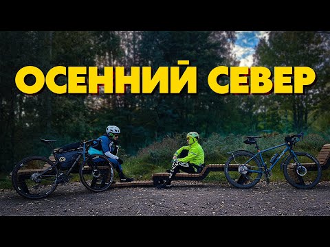 Видео: Преследуем золотую осень | Велопокатушка