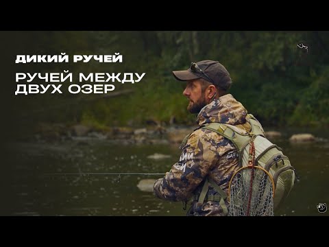 Видео: Ручей между двух озер // Дикий ручей