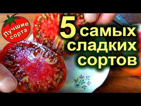 Видео: САМЫЕ ВКУСНЫЕ СЛАДКИЕ ТОМАТЫ  (лучшие сорта томатов)