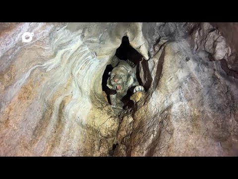 Видео: Два туриста / Екатериновские пещеры / 03.07.24