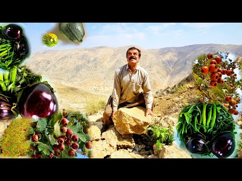 Видео: Как кочевники строят источник воды в самом сердце горы? Никто никогда этого не видел.