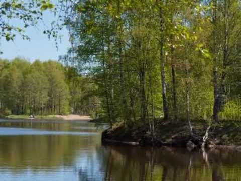 Видео: Настоящее Прошлое | Парк Дубки (часть 2)