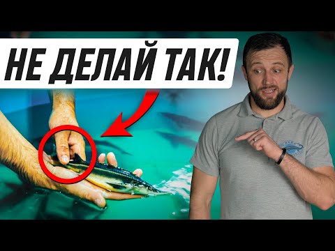 Видео: Из-за этой ОШИБКИ Рыба В УЗВ РАСТЕТ в 3 РАЗА ДОЛЬШЕ!
