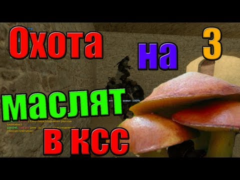 Видео: Третья охота на маслят