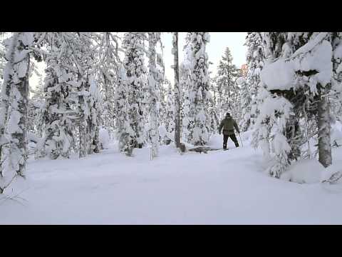 Видео: Зимние навыки выживания в лесу: рубка деревьев на дрова