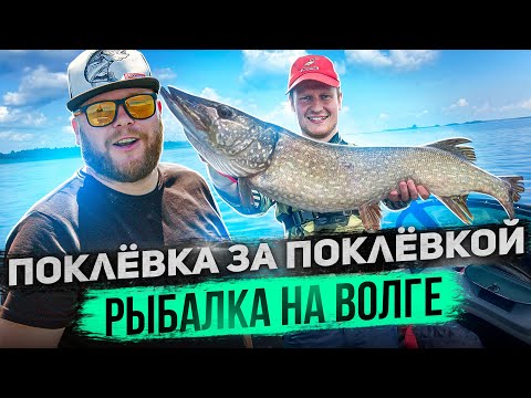 Видео: ПОКЛЁВКА ЗА ПОКЛЁВКОЙ Рыбалка на Волге