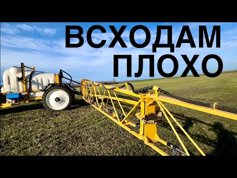 Видео: ПРОВОКАЦИЯ, гибель всходов РАПСА. Еще и падалица