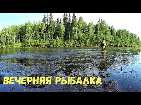 Видео: Вечерняя рыбалка 29.07.23г. Коми.