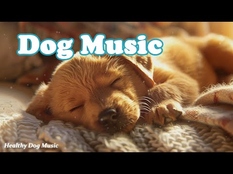 Видео: Музыка для собак, чтобы заснуть💖🐶Музыка для собак, чтобы успокоить их🎵 Снятие тревоги разлуки 🌙17