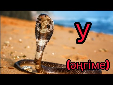 Видео: "У" әңгіме авторы Думан Рамазан