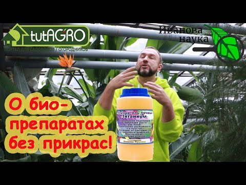 Видео: 4 ВАЖНЫХ ВОПРОСА О БИОПРЕПАРАТАХ. Что умеет триходерма, можно ли переборщить и что с чем смешивать?