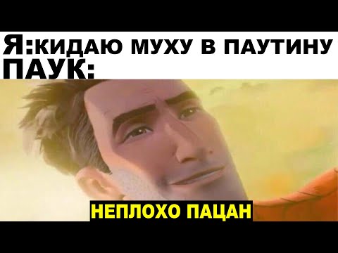 Видео: Мемы | Дневная подборка мемов 194