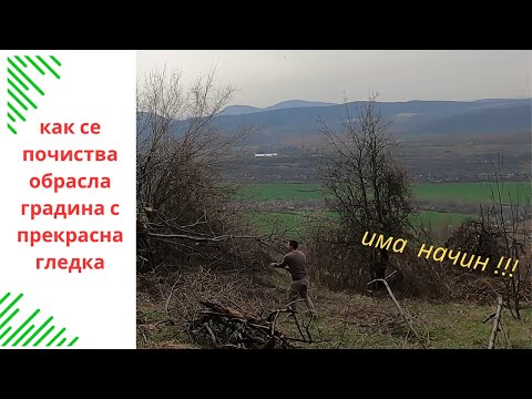 Видео: Трансформация на затревена градина  с гледка към стара планина
