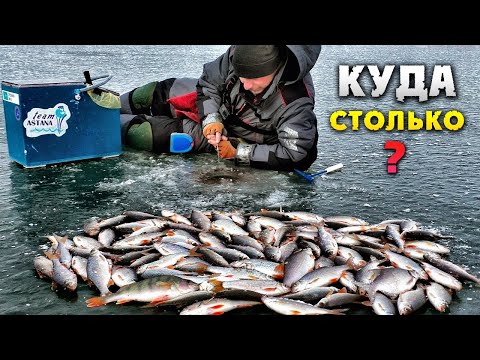 Видео: Пулемётный клёв плотвы!!! Вот это первый лёд 2!!! Зимняя рыбалка на плотву