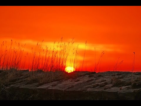 Видео: Накшатра Уттарапхалгуни