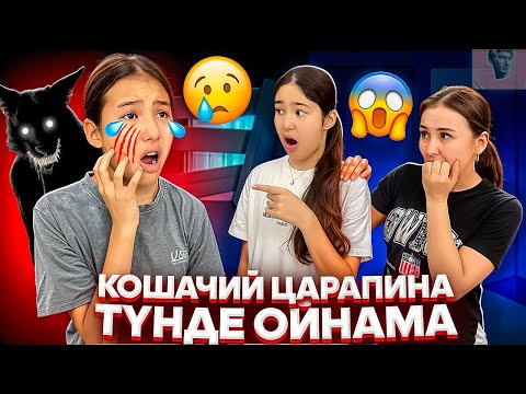 Видео: АМИНАНЫ МЫСЫҚ ТЫРНАП АЛДЫ😭😳/ТҮНДЕ ОЙНАМА⁉️🤦‍♀️😳#trend