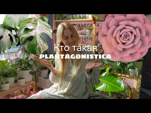 Видео: Я и моя коллекция растений