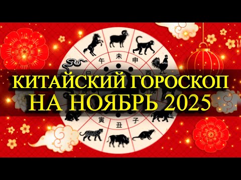 Видео: КИТАЙСКИЙ ГОРОСКОП НА НОЯБРЬ 2025 ДЛЯ КАЖДОГО ЗНАКА!