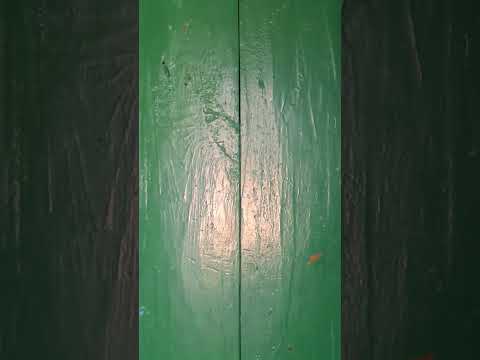 Видео: обзор нашего дома в республике Белорусь