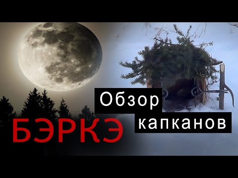 Видео: Пришла посылка в Якутию. Обзор капканов для охоты от БЭРКЭ.