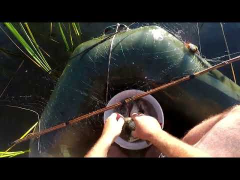 Видео: Экраны в прозрачной воде.