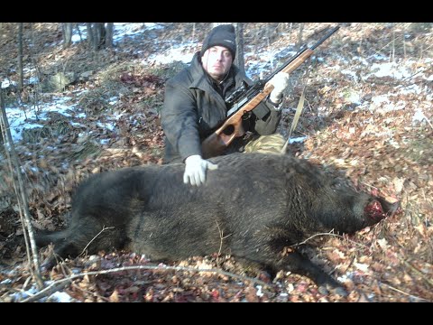 Видео: КАК ПРАВИЛЬНО ЦЕЛИТЬСЯ, ЧТО-БЫ НЕ ПРОМАХНУТЬСЯ!!!!