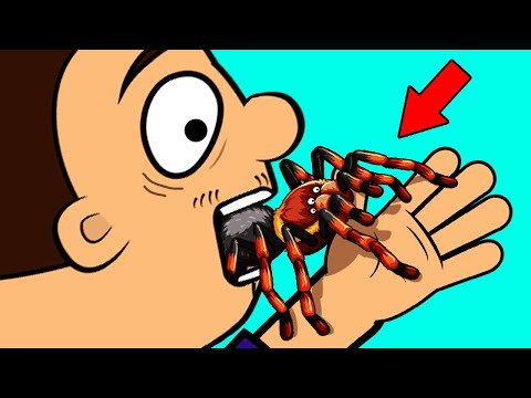 Видео: Топ страшных, но не опасных животных