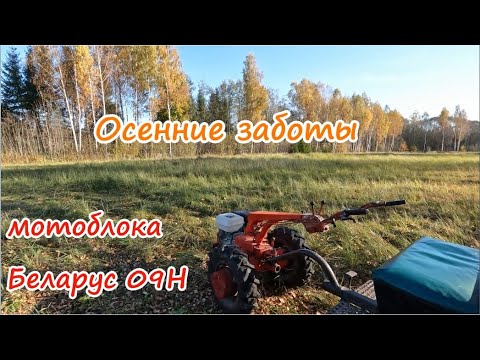 Видео: Осенние заботы мотоблока.