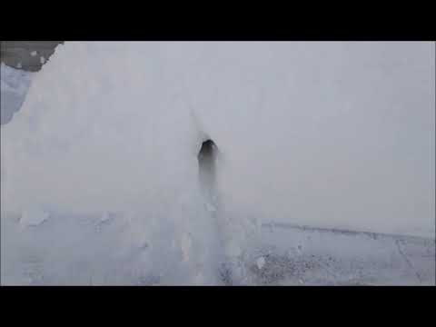 Видео: Зимовка пчёл под снегом в Западной Сибири 1 часть