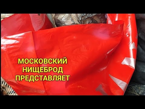 Видео: Обогащаюсь на мусорках Москвы. N 158.
