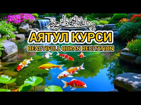 Видео: Мураотталь Аятуль Курси – релаксация души, лекарство от стресса и спокойствие сердца