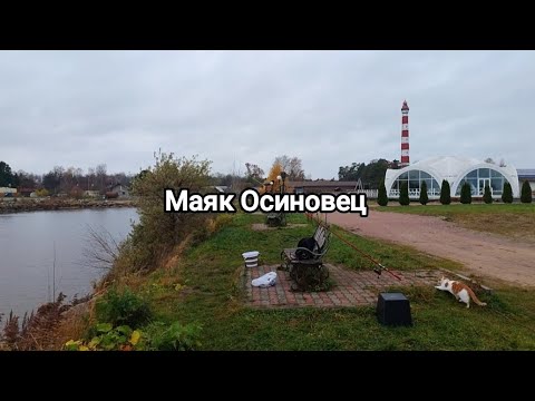 Видео: Маяк и плотва. Ладожское озеро 