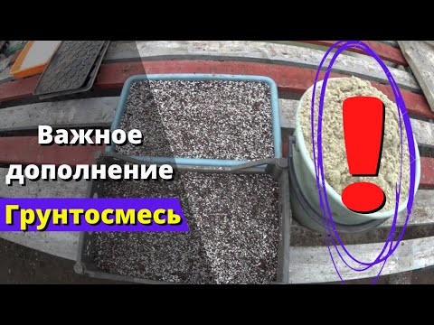 Видео: Сделайте это... и снизится вероятность загнивания растений при укоренении.