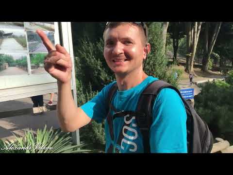 Видео: Семейная прогулка, зоопарк ''ZOO'', столица Кишинёв. 3 - часть. Deaf