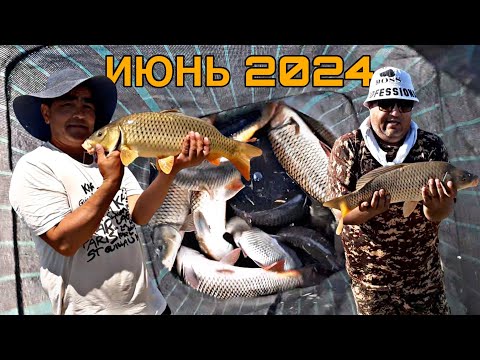 Видео: АРНАСАЙ ДЮККЕР ПОПАЛИ НА ЖОР САЗАНА 26.06.2024