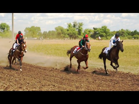 Видео: Скачки х. город Перелаз 2024