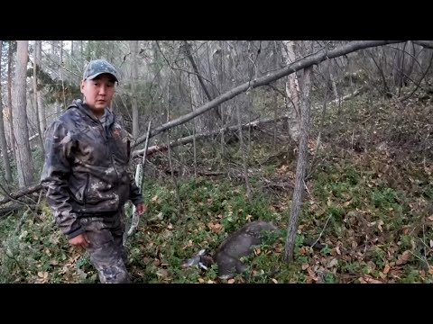 Видео: Долгожданная охота на изюбря на реву в Юго-Западной Якутии 2 серия добыли самца кабарги.