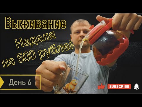 Видео: ВЫЖИВАЮ НЕДЕЛЮ НА 500 РУБЛЕЙ. ОСЕНЬ 2025. День 6.