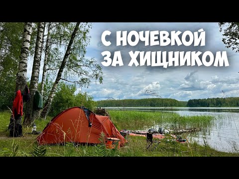 Видео: С НОЧЕВКОЙ ЗА ХИЩНИКОМ НА ЯУЗСКОЕ ВОДОХРАНИЛИЩЕ.