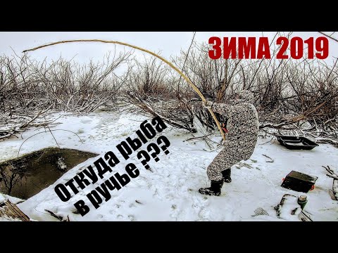 Видео: Ведро рыбы за 1 подъем ЁКЛМН ! Как наловить много рыбы? Рыбалка на паук зимой Рыбалка 2020 Рыбалка
