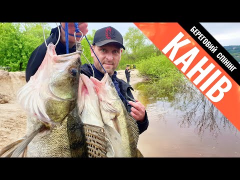 Видео: Судак Канів - Гарантоване Клювання!