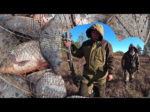 Видео: Люди на болотах. Часть1