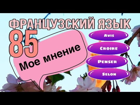 Видео: МОЕ МНЕНИЕ : 5 способов его выражения | французский по полочкам