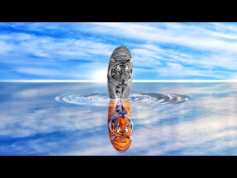 Видео: 45/140. ЧТО ЕСТЬ ДЕЙСТВИЕ И ЧТО - БЕЗДЕЙСТВИЕ. Леонид Тугутов (Лакшми Нараяна дас). Лекция-семинар.