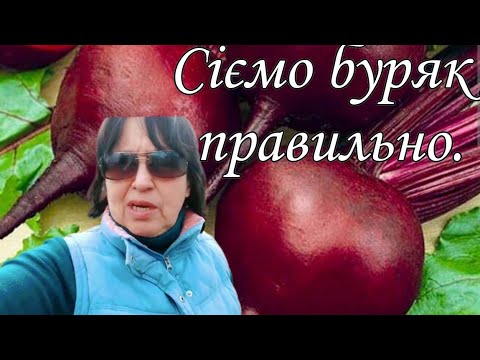 Видео: Сіємо буряк. Якщо хочете гарного врожаю, то зробіть так. Мій досвід.