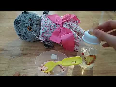 Видео: Что нужно басику на первые дни его жизни.