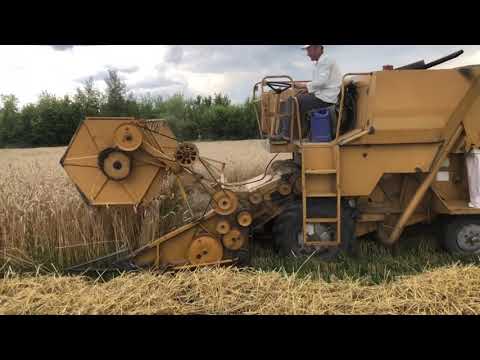 Видео: Такого комбайна ви ще не бачили. Молотимо пшеницю. Урожайність 65ц/га