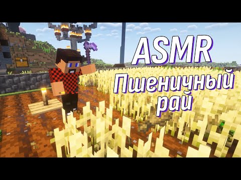 Видео: АСМР Немножко бреда? Пшеничная долина и замок? Погнали! | ASMR Minecraft